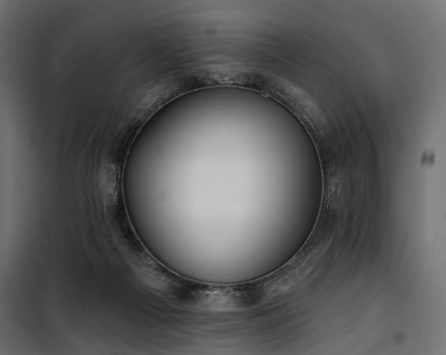 X0000100870121200806201250