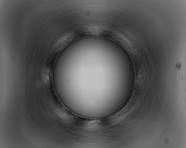 X0000100870122200806201250