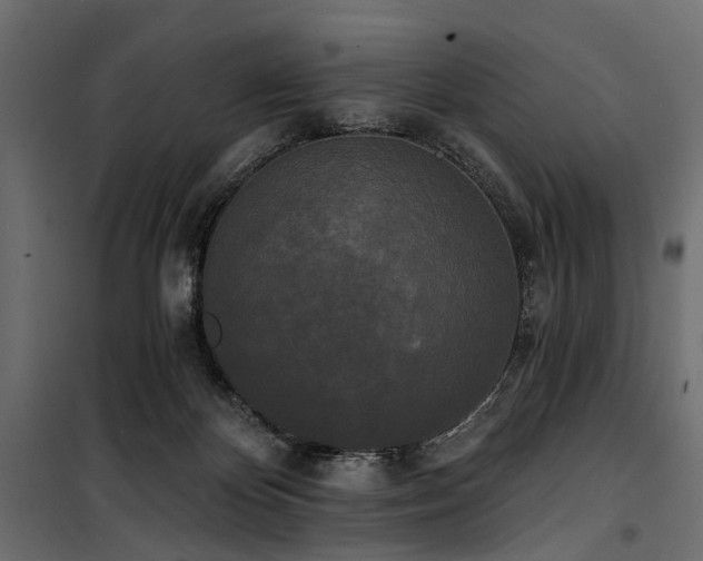 X0000100870124200806201250