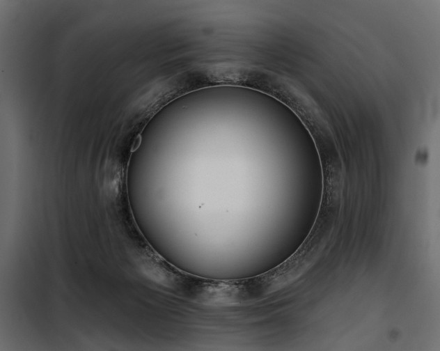 X0000100870125200806201250