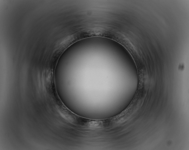 X0000100870126200806201250