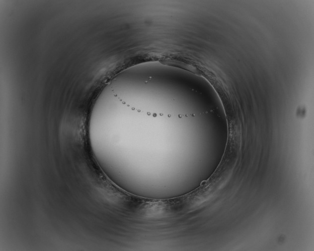 X0000100870127200806201250