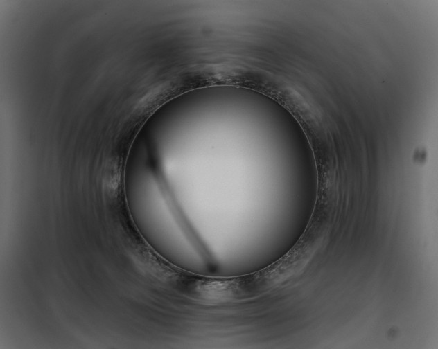 X0000100870129200806201250