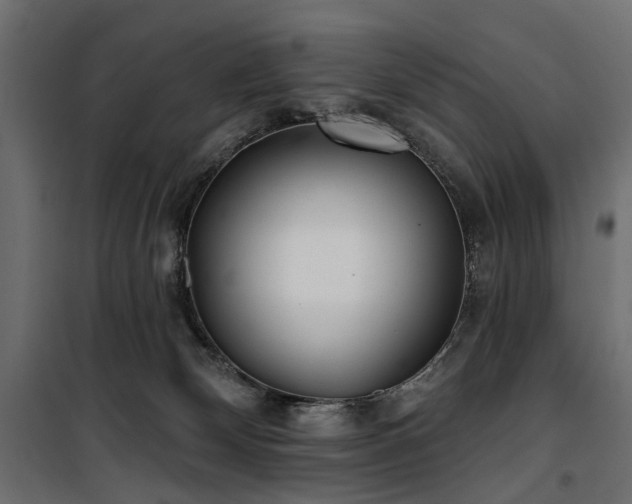 X0000100870132200806201250