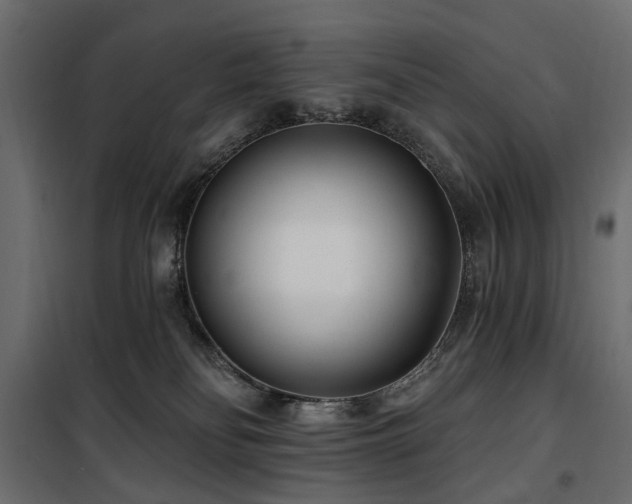 X0000100870134200806201250