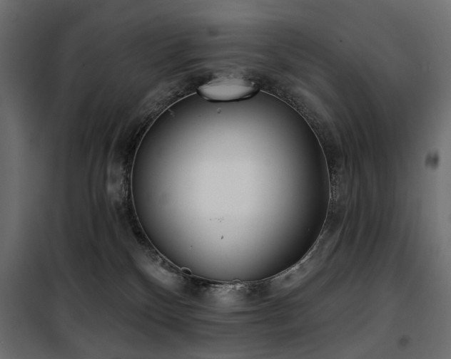 X0000100870136200806201250