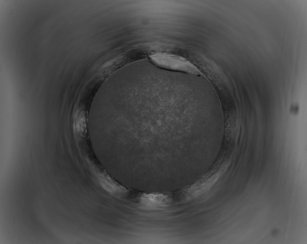 X0000100870137200806201250