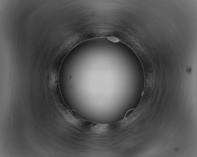 X0000100870138200806201250