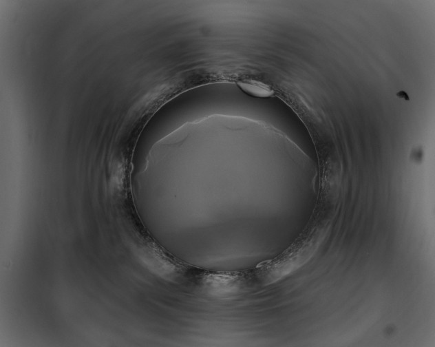 X0000100870139200806201250