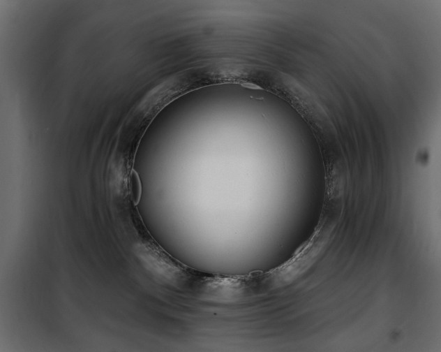 X0000100870140200806201250