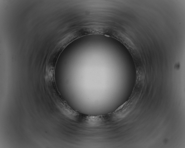 X0000100870141200806201250