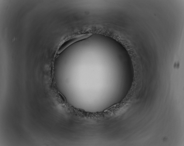 X0000100870144200806201250