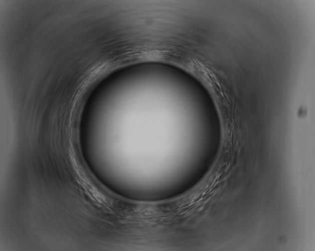 X0000100870145200806201249