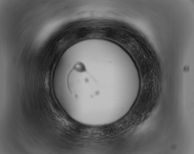 X0000100870146200806201249