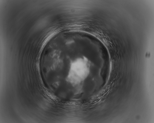 X0000100870147200806201249