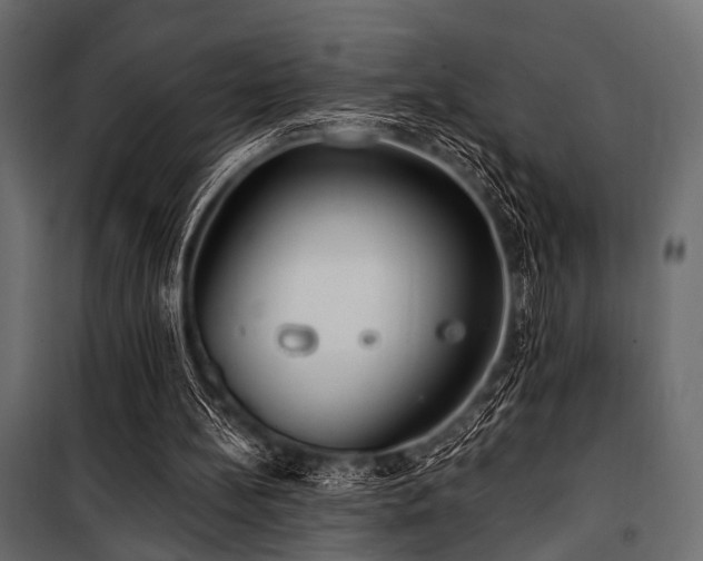 X0000100870148200806201249