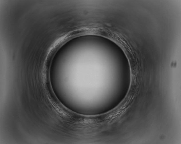 X0000100870149200806201249