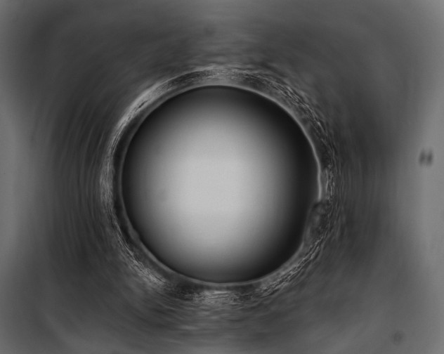 X0000100870150200806201249