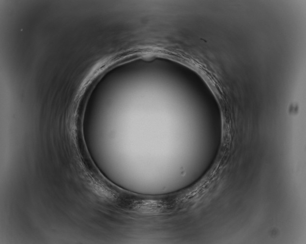 X0000100870151200806201249