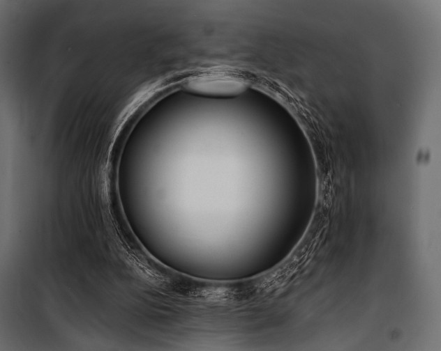 X0000100870152200806201249