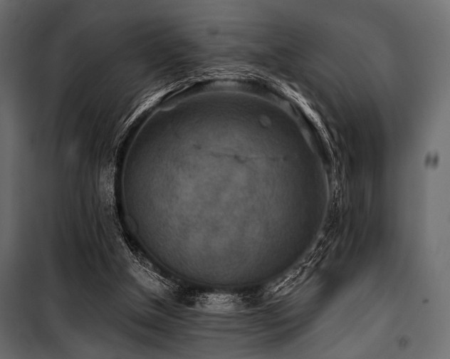 X0000100870154200806201249