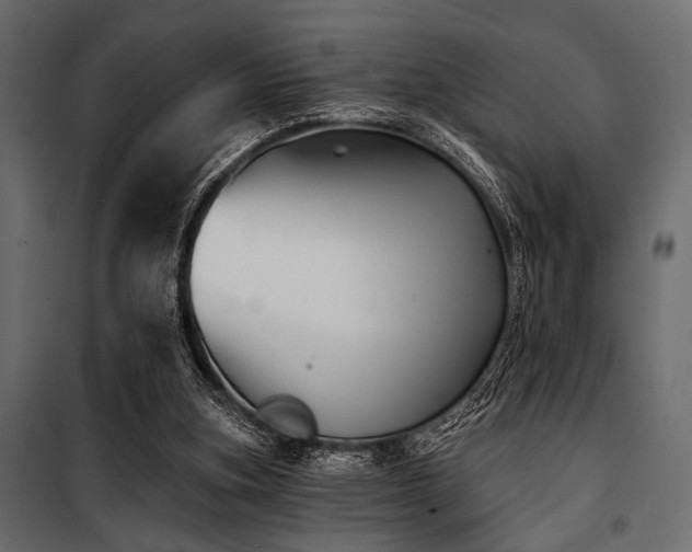 X0000100870155200806201249