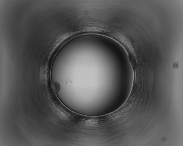 X0000100870156200806201249