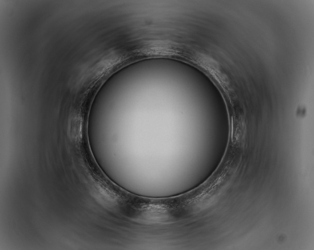 X0000100870157200806201249