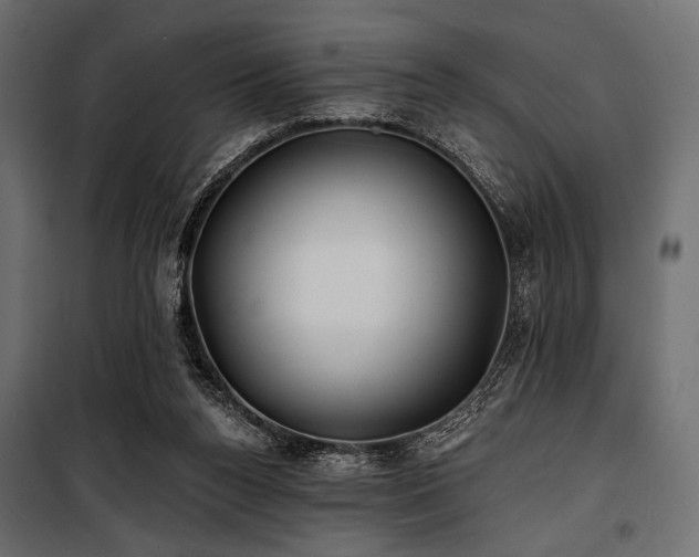 X0000100870160200806201249