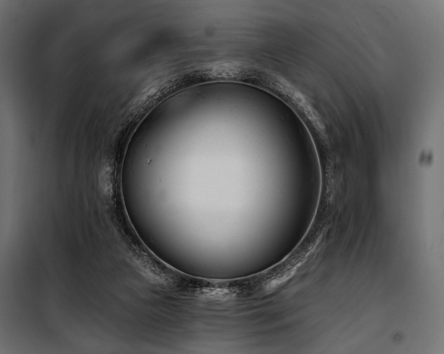 X0000100870161200806201249