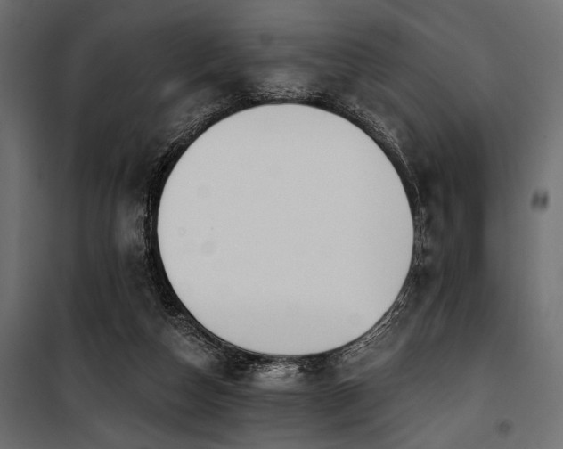 X0000100870162200806201249