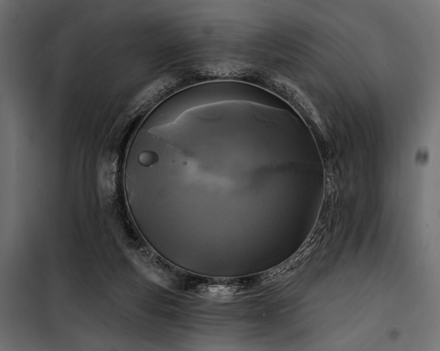 X0000100870163200806201249