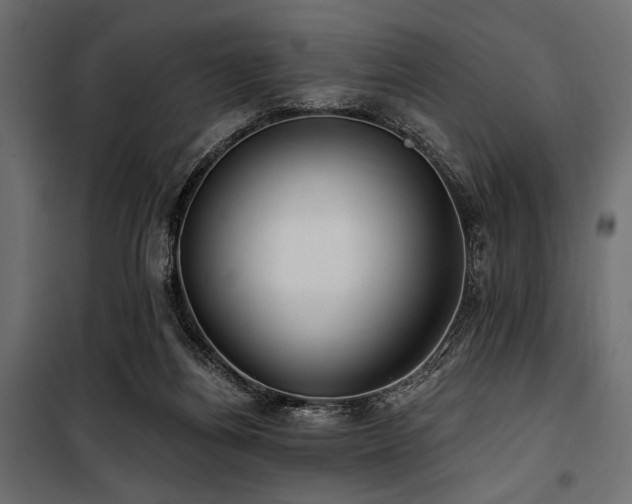 X0000100870164200806201249