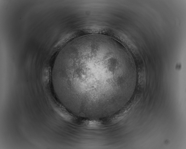 X0000100870165200806201249