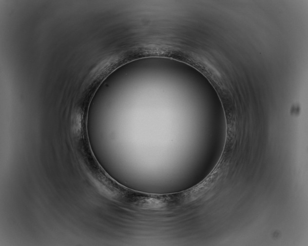 X0000100870166200806201249