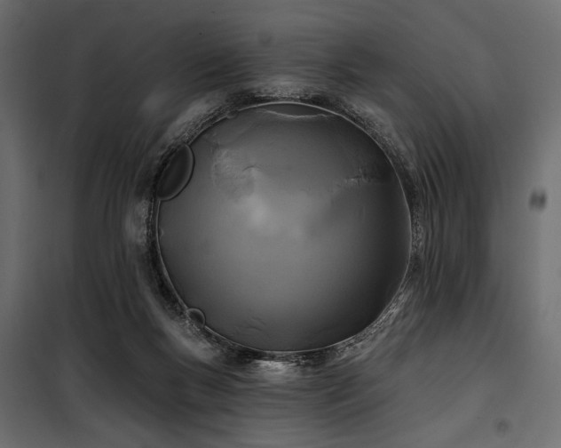 X0000100870167200806201249