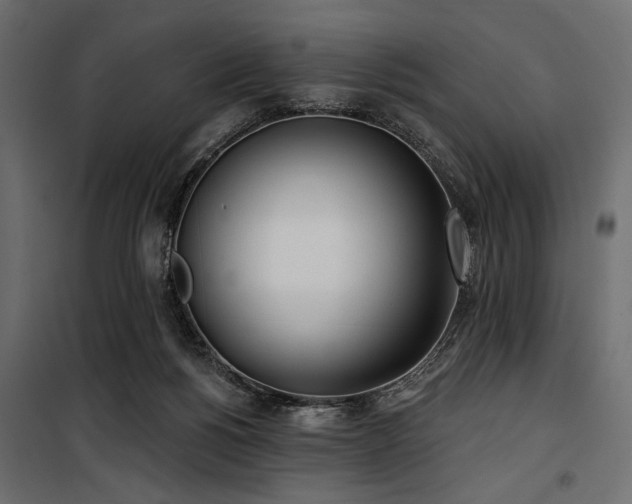 X0000100870168200806201249