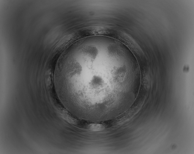 X0000100870169200806201249