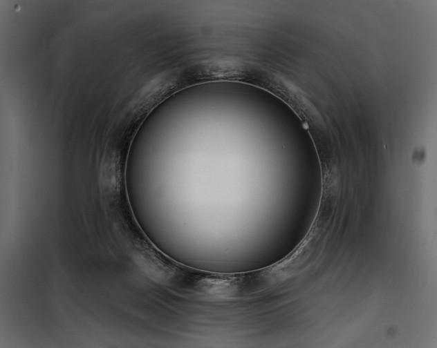 X0000100870170200806201249