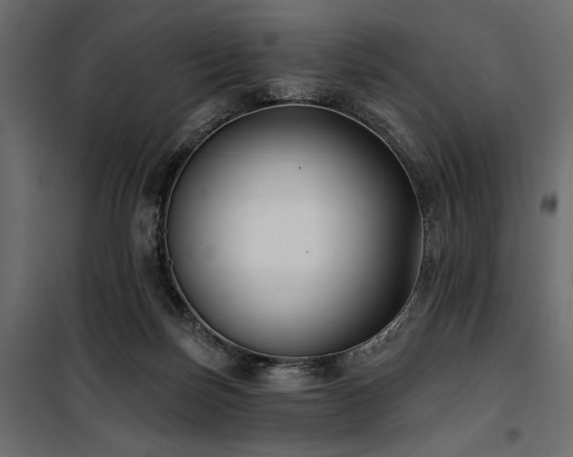 X0000100870171200806201249