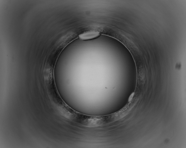 X0000100870172200806201249