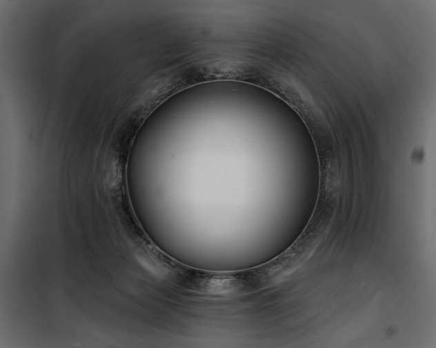 X0000100870173200806201249