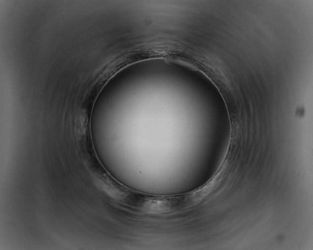 X0000100870174200806201249