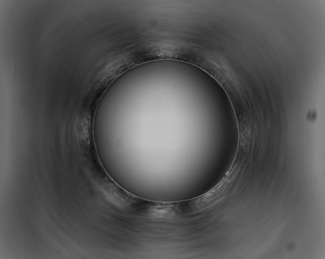 X0000100870175200806201249