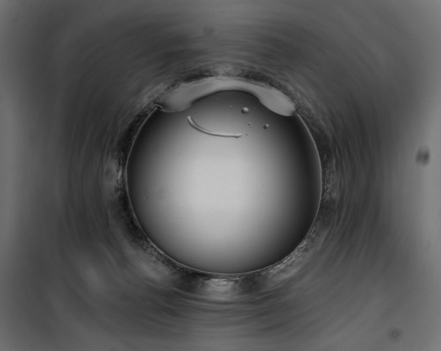 X0000100870176200806201249