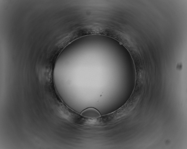 X0000100870177200806201249