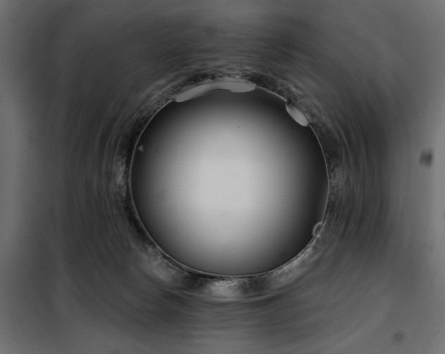 X0000100870178200806201249