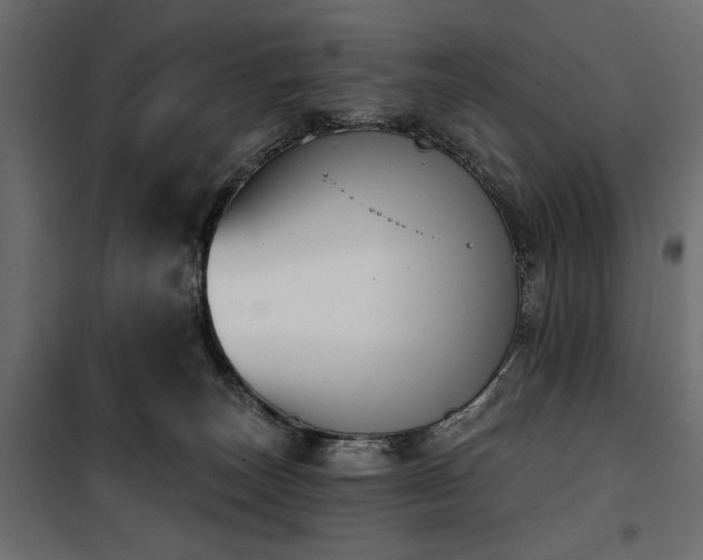 X0000100870179200806201249