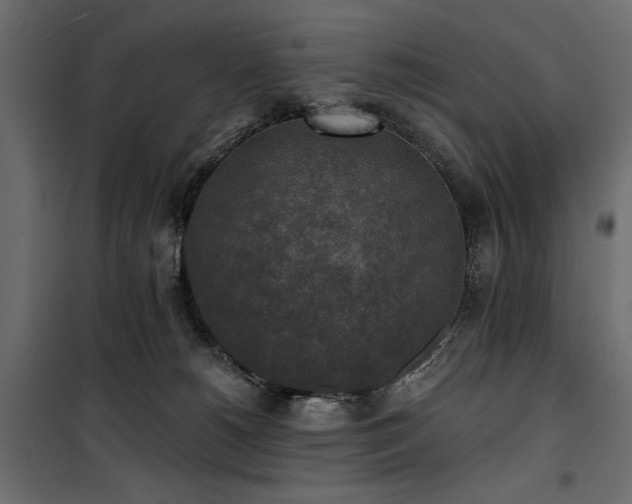 X0000100870180200806201249