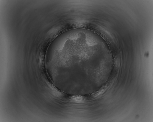 X0000100870181200806201250